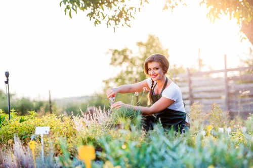 Gardeners Stepney pricing overview for a small urban garden