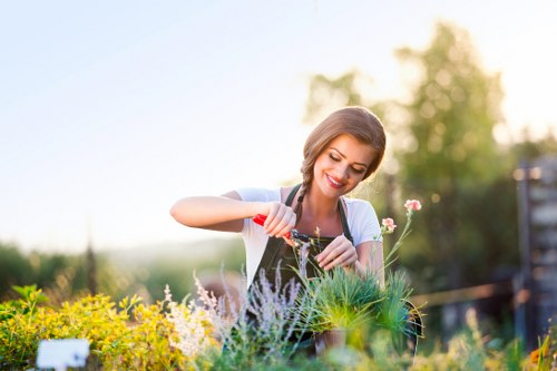 Professional patio cleaning service in Stepney on stone paving