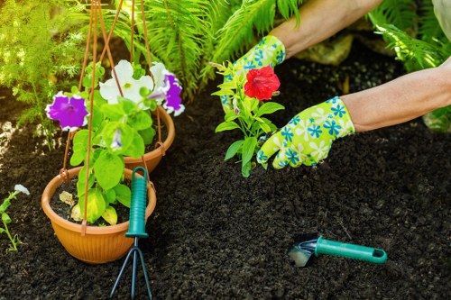 Professional garden clearance work in Stepney