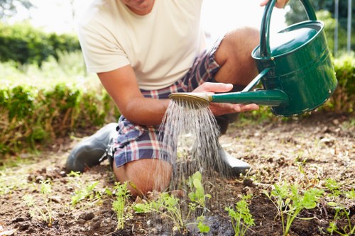 Transparent pricing options for Gardeners Stepney services