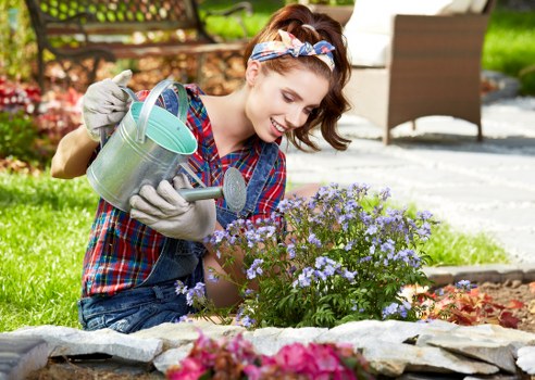 Garden maintenance in Stepney with tidy lawn and trimmed borders