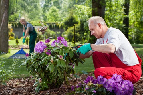 Reviewing health and safety measures during gardening tasks