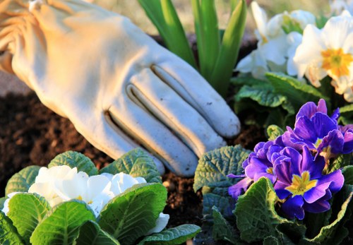 Stepney gardening supplier compliance and oversight