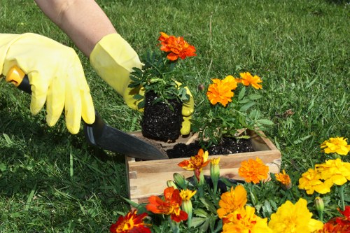 Stepney garden care with planting and lawn maintenance