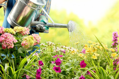 Regular hedge maintenance in Stepney improving healthy green growth