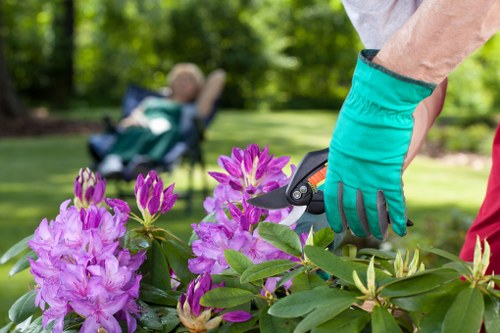Final contract terms for professional gardening services