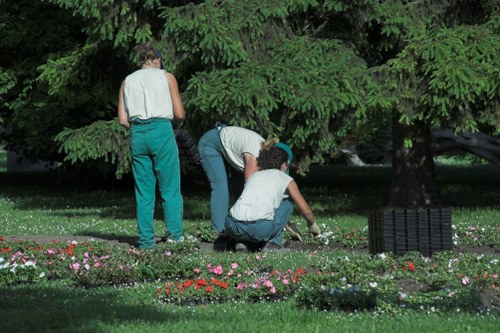Regular lawn mowing schedule for a Stepney property