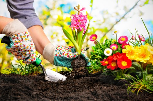 Reliable garden maintenance in Stepney for small urban outdoor spaces