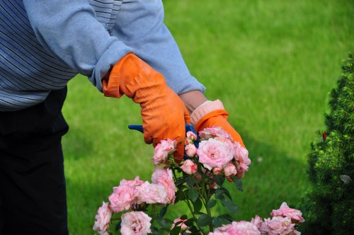 Local gardener pruning plants in a compact Stepney backyard