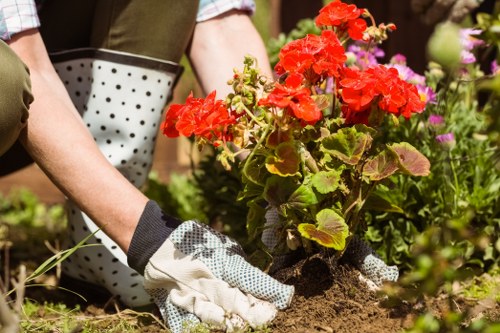 Screen-reader friendly content layout for a local gardening service page