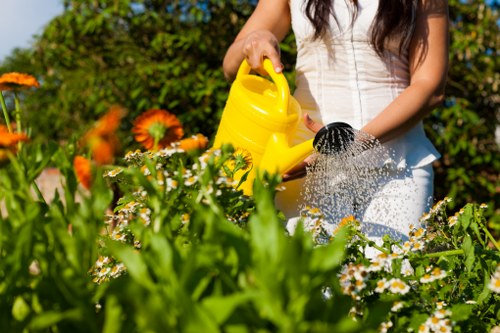 Waste handling and site safety during garden clearance