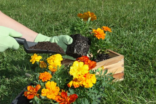 Lawn maintenance as part of gardening services in Stepney