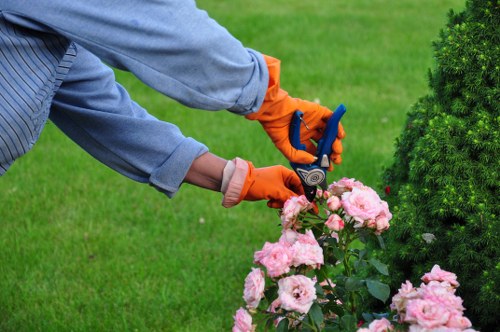 Commitment to zero tolerance for modern slavery at Gardeners Stepney
