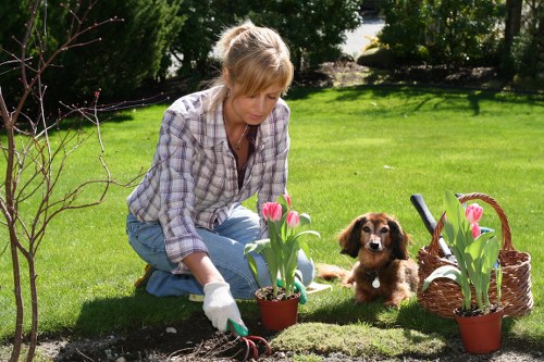 Ongoing accessibility improvements for Gardeners Stepney content