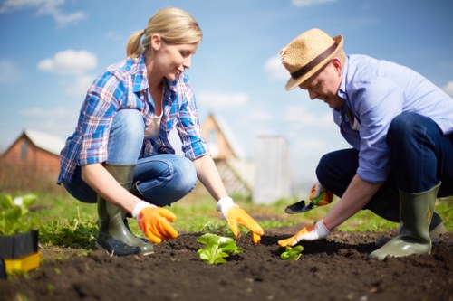 Keyboard navigation and readable design for Gardeners Stepney