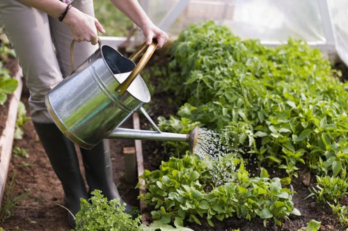 Professional garden maintenance in Stepney for healthy urban planting