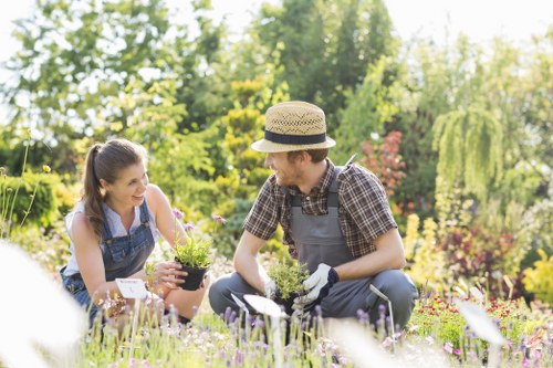 Seasonal lawn care and mowing in Stepney